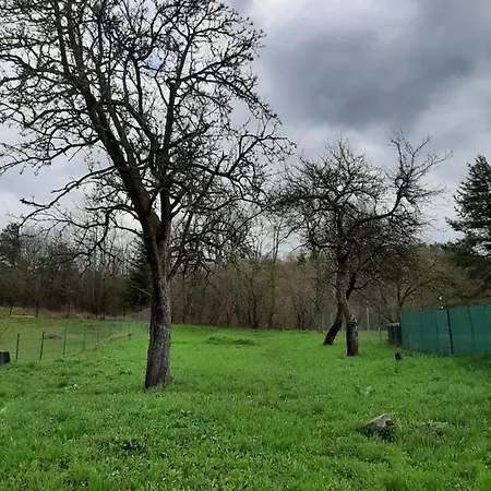 Tatil Evi Babickin Dom