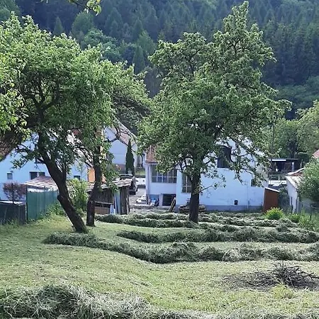 Babickin Dom Medzilaborce