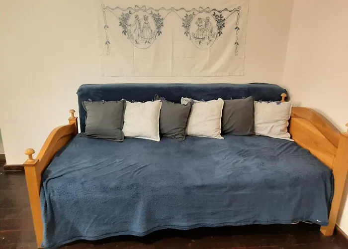 Babickin Dom בית נופש