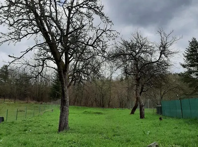 בית נופש Babickin Dom